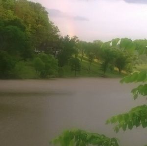 Meet your Posher, Holly